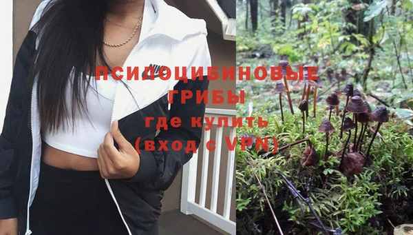 гидропоника Нестеровская