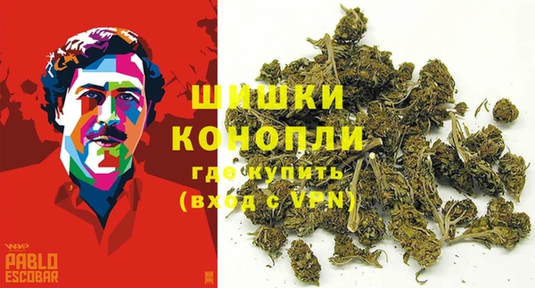 соль ск Верхний Тагил