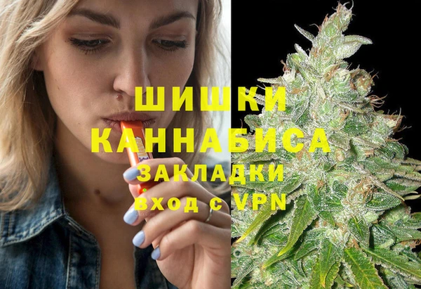 соль ск Верхний Тагил