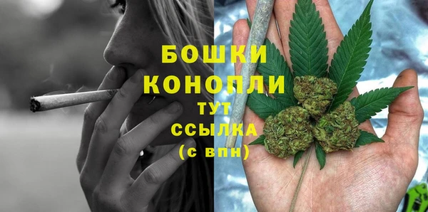 соль ск Верхний Тагил