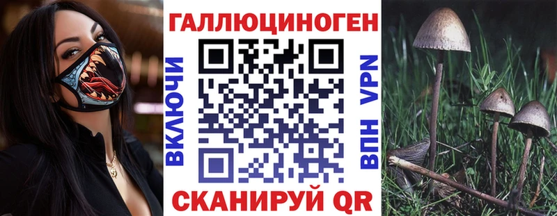 Купить где  Родники  Псилоцибиновые грибы GOLDEN TEACHER 
